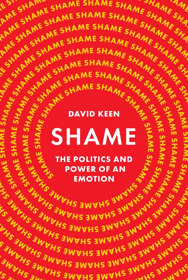Book Cover Shame David Keen